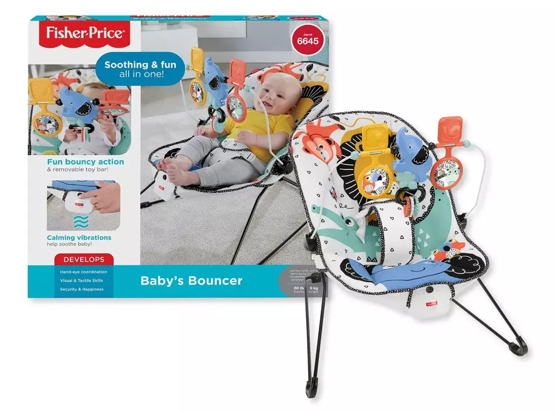 Fisher Price GDP59 Baby’s Bouncer